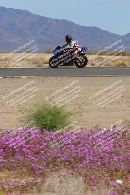 media/Mar-12-2023-SoCal Trackdays (Sun) [[d4c8249724]]/Turn 15 Inside Bloom (130pm)/